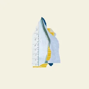 Into It. Over It: Figure: 2LP Clear w/Cream Black Stripe Vinyl