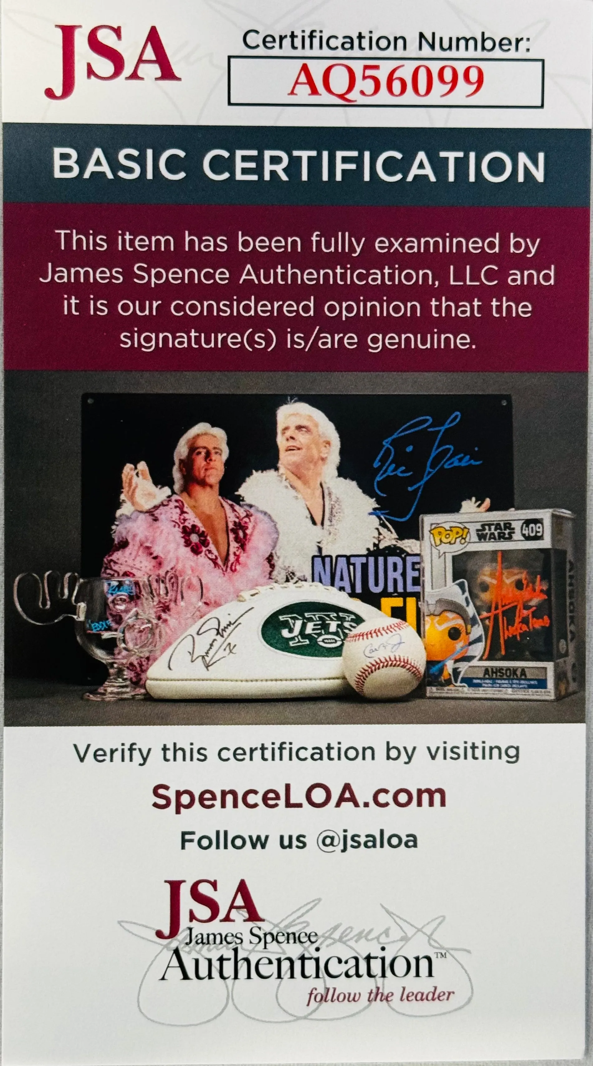 Jim Brown Autographed Official NFL Football (JSA)