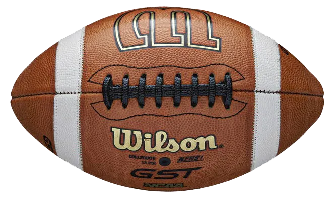 Wilson WTF1003B GST